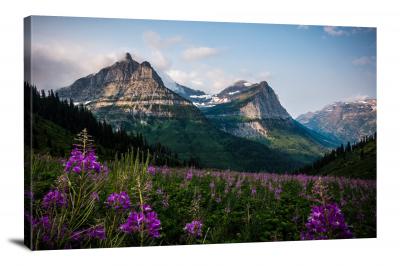 CW1614-glacier-national-park-flowers-and-mountains-00