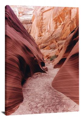 CW1112-grand-canyon-national-park-sandy-pathway-00