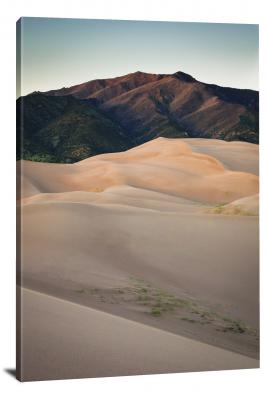 Sand Dune Oasis, 2018 - Canvas Wrap