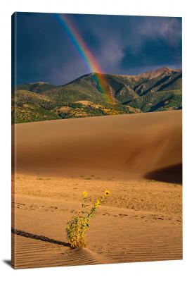 Sunflowers and Rainbow over a Dune, 2019 - Canvas Wrap