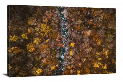 River through an Autumn Forest, 2017 - Canvas Wrap