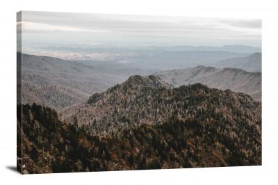 CW1004-great-smoky-mountain-mist-above-trees-00