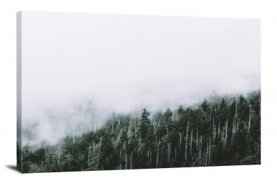 Smoky Mountain Overview, 2017 - Canvas Wrap