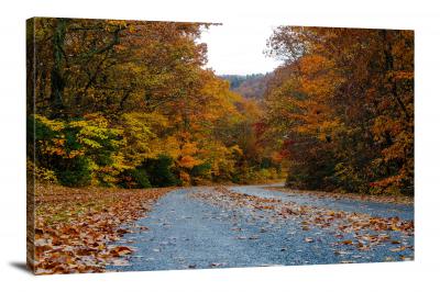 CW1023-great-smoky-mountain-leaf-lined-road-00
