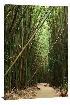 Bamboo Forest, 2017 - Canvas Wrap