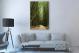Bamboo Forest, 2017 - Canvas Wrap3