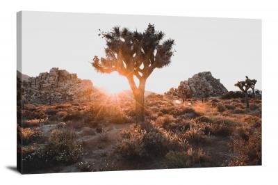 Sunglare Tree, 2019 - Canvas Wrap