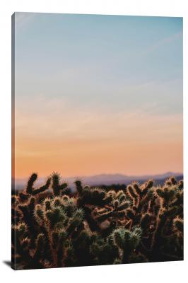 Cactus Sunset, 2018 - Canvas Wrap