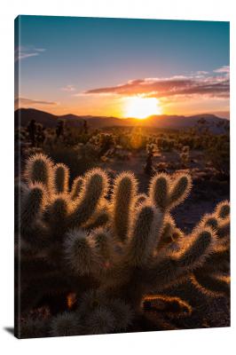 Sunrise over Cholla Cactus Garden, 2020 - Canvas Wrap