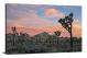 Early Morning Pink Skies, 2020 - Canvas Wrap