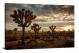 Sunset Trees, 2019 - Canvas Wrap