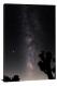 Joshua Tree Milky Way, 2021 - Canvas Wrap