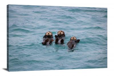Three Otters, 2021 - Canvas Wrap