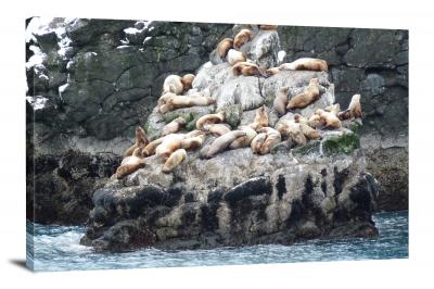 Sea Lion Rock, 2009 - Canvas Wrap