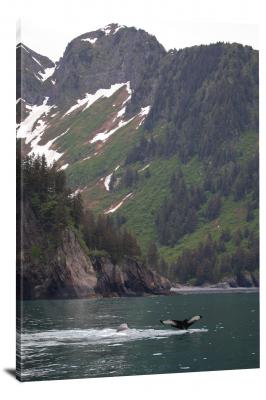 CW1810-kenai-fjords-national-park-humpback-whale-flukes-00
