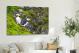 Horned Puffin Pair, 2021 - Canvas Wrap3