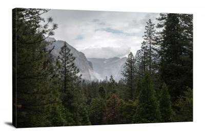 Mist Above the Sequoias, 2018 - Canvas Wrap