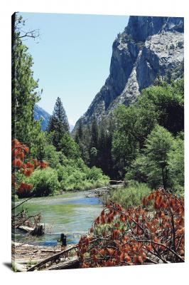 CW1827-kings-canyon-national-park-forest-mountain-river-00