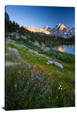 CW1833-kings-canyon-national-park-rae-lakes-wildflowers-00