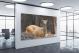 Deer in the Camera, 2020 - Canvas Wrap1