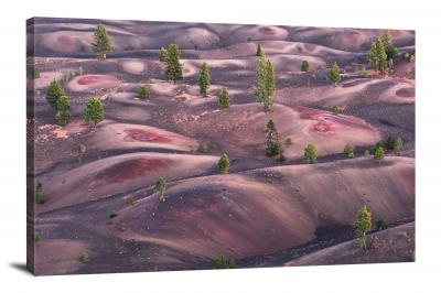 Red Brown Landscape, 2021 - Canvas Wrap