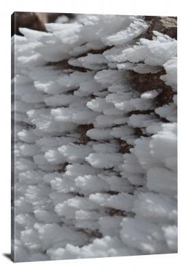 CW1866-lassen-volcanic-national-park-feather-like-frost-00