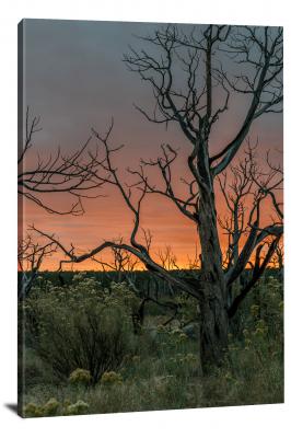 Sunset through Mesa Verde Landscape, 2015 - Canvas Wrap