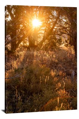 CW1894-mesa-verde-national-park-sunrise-glare-00