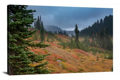 CW1904-mount-rainier-national-park-fall-foliage-00