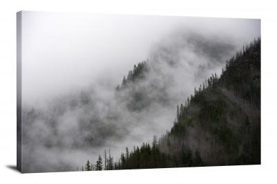 CW1939-north-cascades-national-park-fog-on-the-pines-00