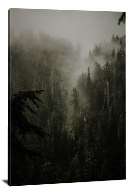 CW1949-north-cascades-national-park-foggy-mountain-side-00
