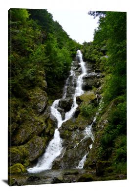 CW1951-north-cascades-national-park-green-foliage-rock-waterfall-00