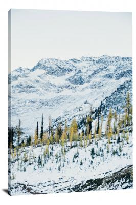 Yellow Trees Amongst Snow, 2020 - Canvas Wrap
