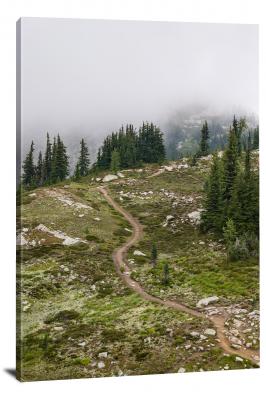 CW1955-north-cascades-national-park-misty-path-00