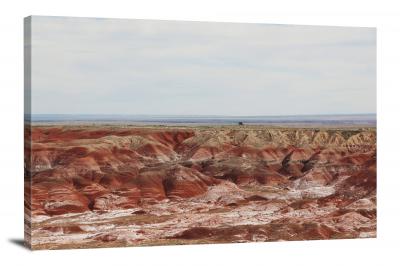 CW1964-petrified-forest-national-park-painted-desert-00