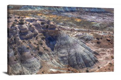 CW1965-petrified-forest-national-park-textured-mountain-00