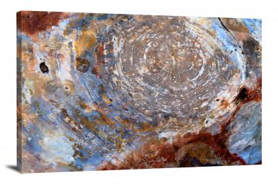 Petrified Wood Closeup, 2012 - Canvas Wrap