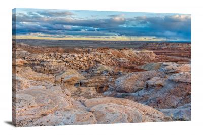 CW1974-petrified-forest-national-park-blue-mesa-view-00