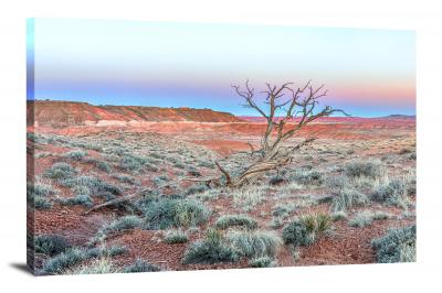 Juniper in Painted Desert, 2015 - Canvas Wrap