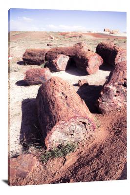 CW1976-petrified-forest-national-park-petrified-forest-stumps-00