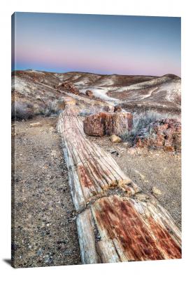 Petrified Log in Crystal Forest, 2015 - Canvas Wrap
