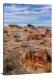 Petrified Wood Forest, 2017 - Canvas Wrap