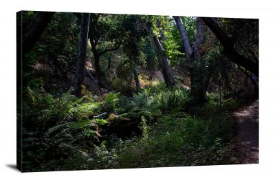 Green Fern Forest, 2020 - Canvas Wrap