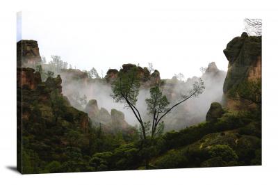 CW1996-pinnacles-national-park-fog-and-green-00