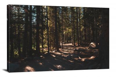 Rockies Forest, 2020 - Canvas Wrap