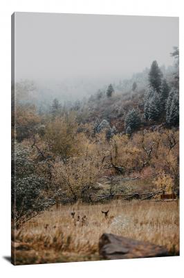 Winterscape Hidden Deer, 2019 - Canvas Wrap