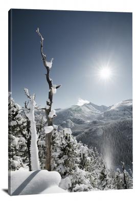 CW1174-rocky-mountain-national-park-snow-covered-trees-00