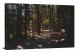 Rockies Forest, 2020 - Canvas Wrap