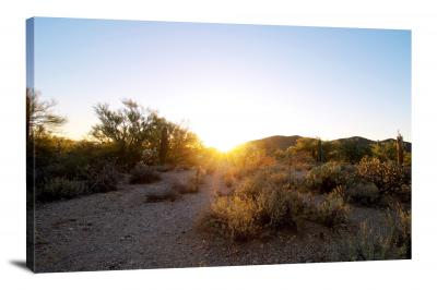 Desert Sunglare, 2020 - Canvas Wrap