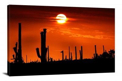 CW3054-saguaro-national-park-blood-red-sun-00
